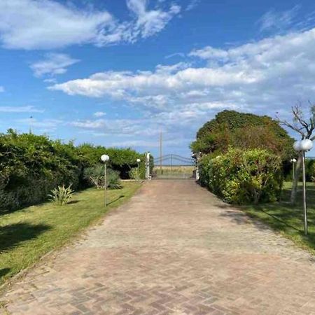 Casa Margherita Villa Rosella Appartamento 2 - Con Piscina - 150 M Dal Mare מראה חיצוני תמונה